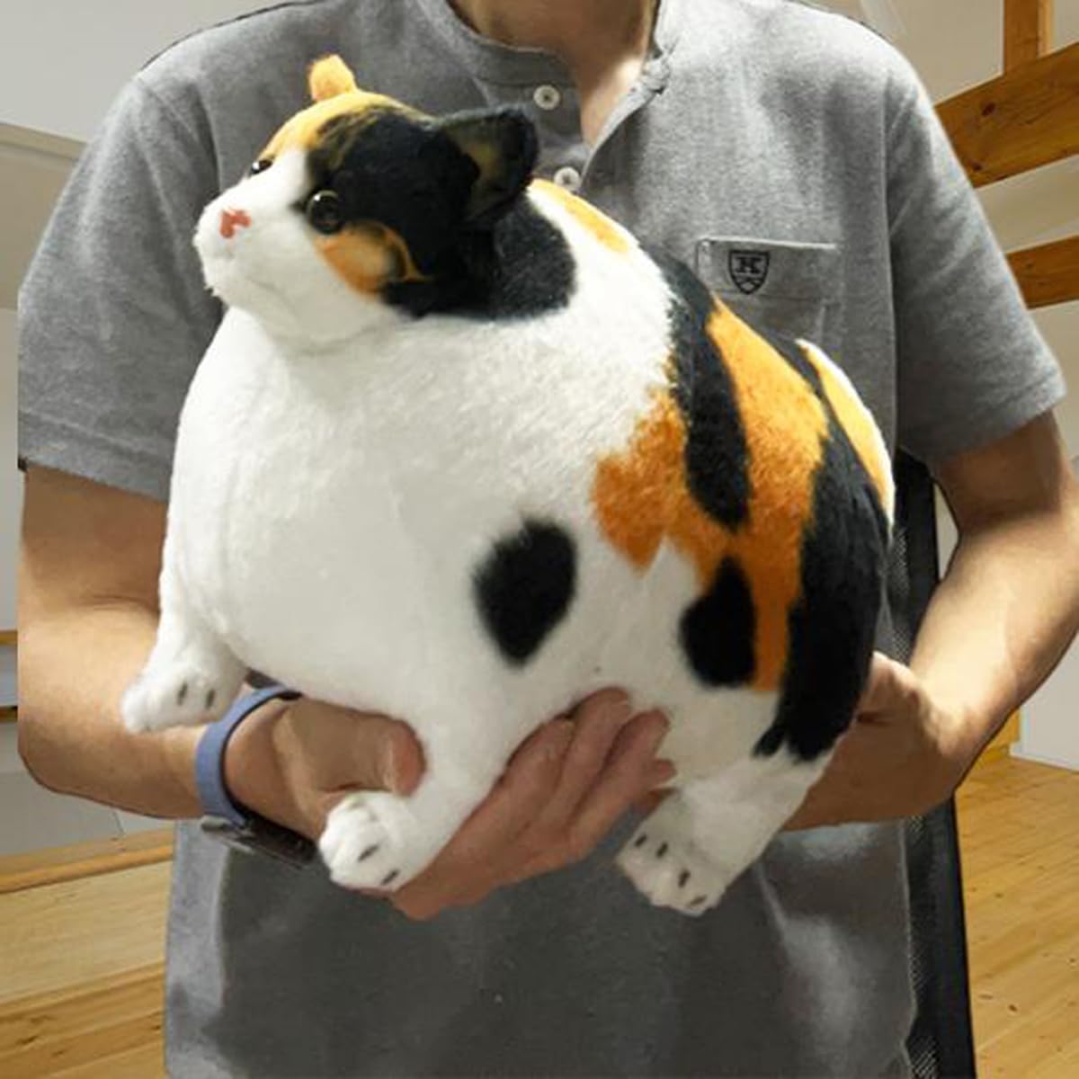 Amazon.co.jp: ふとっちぃZoo にゃんこ 三毛猫 ぬいぐるみ 猫 約35×25