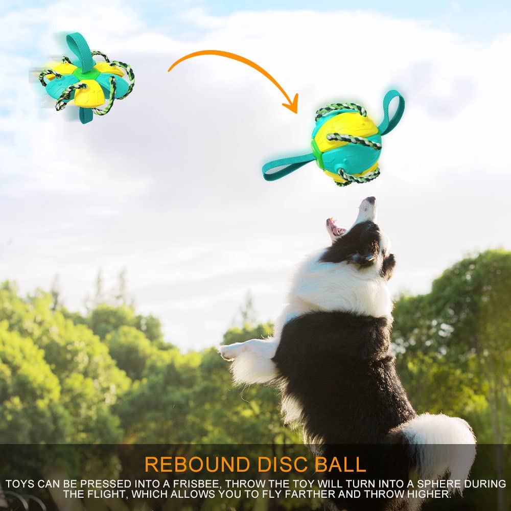 ?Interactive Flying Disk Ball Dog Toy, 58 OFF