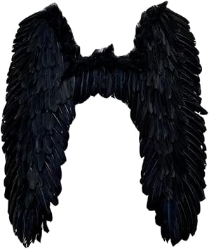 Angel Wings, Devil Wings, Cosplay Costume, For Events, Parties, Halloween