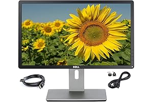 Dell P2214HB: Crisp and Versatile 22 Inch Monitor for Horizontal and Vertical Versatility