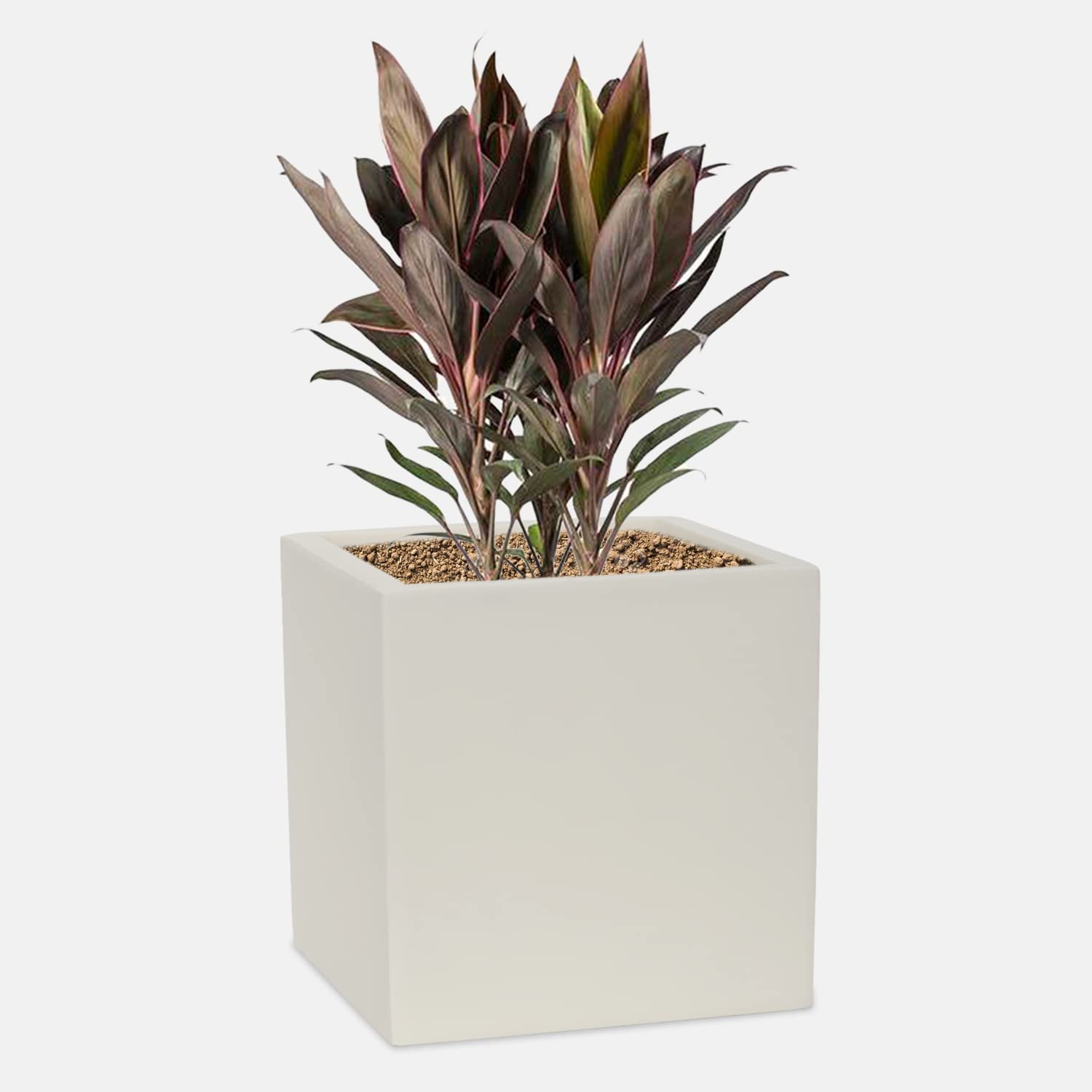 YUCCABE ITALIA Bar 8 inches Planter, White (B08W1H6J66) Amazon Price History, Amazon Price Tracker