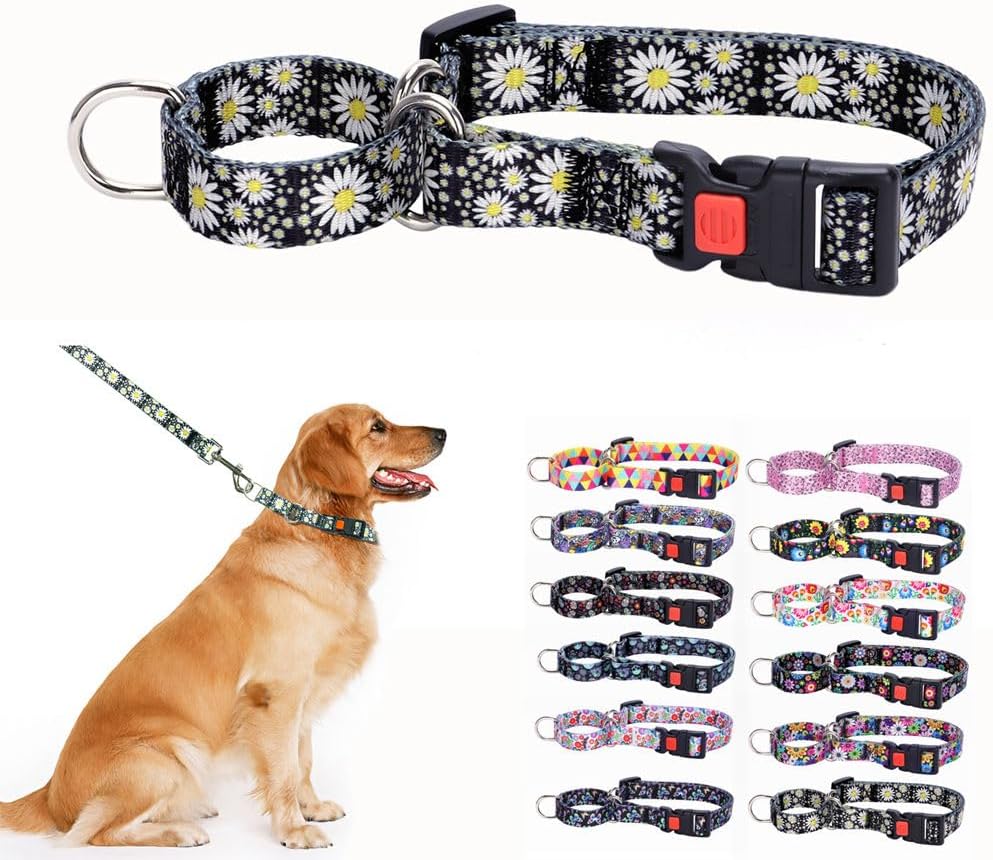 Martingale Collar for Small Dogs, No Slip Escape Proof Limited Choke Pinch Pet