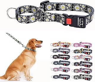 Martingale Collar for Dogs Large Medium Small Breed, Anti Slip No Escape Limited Choke Pinch Big Puppy Pet Collars Quick Release Buckle with Lock (White Daisy, S)