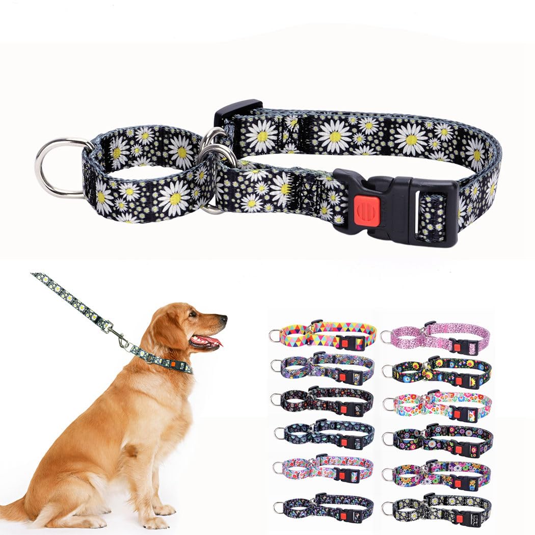 Collier martingale pour chien idéal pour les balades quotidiennes et l'éducation