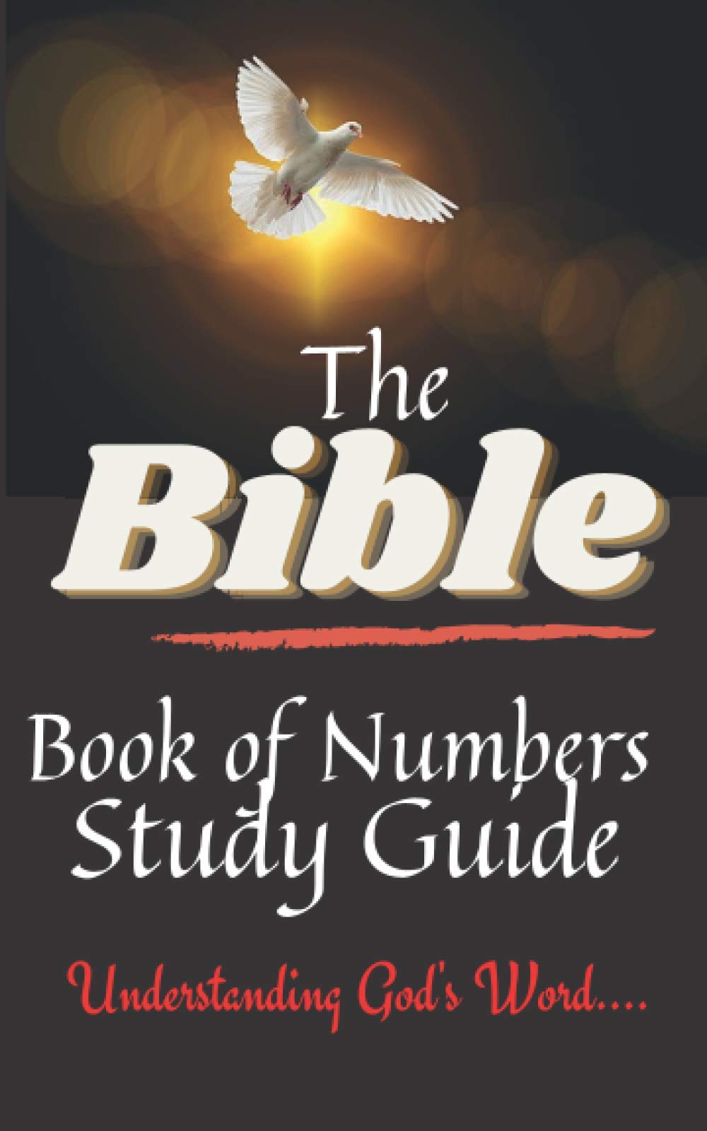 The Bible Book of Numbers Study Guide: Understanding God's Word (66 Bible Books Overview)