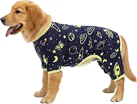 Roupa para Cães e Gatos, Macacão Pijama Inverno Espacial Neon abelhinha com asinhas, Roupa para Frio, Confortável, 100% Algodão Macio, Não Aperta Conforto com Estilo. (Espacial Neon, P)