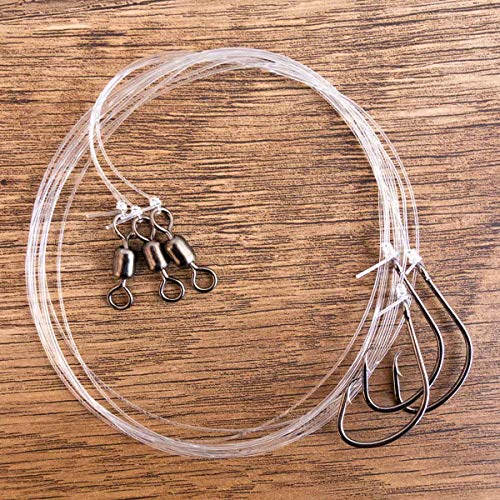 Best Rigs For Reef Fishing