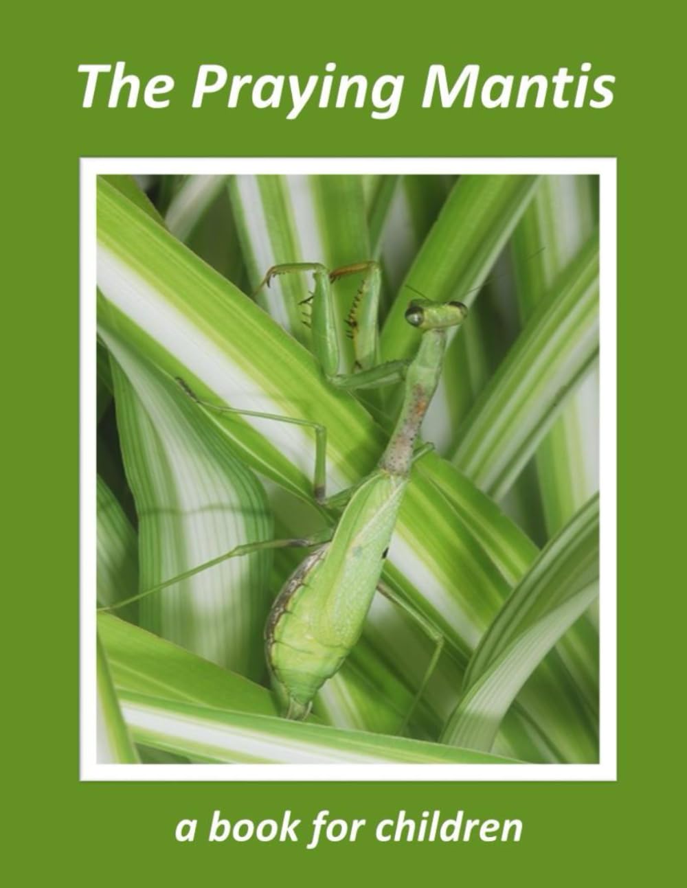 The Praying Mantis - a book for children: The tiny hunter (The wonderful world of insects)