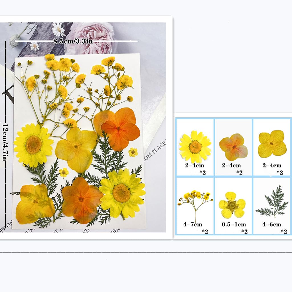 72 Piezas Flores Secas Naturales Mixtas Flores Secas Prensadas Kit de Hojas Secas Hierbas Naturales para Resina Álbumes de Recortes DIY Regalo Scrapbooking Joyas Uña Pendientes Arte