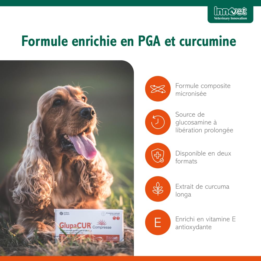 Innovet Glupacur, Complément Alimentaire pour Soulager les Articulations Chiens et Chats souffrant d'Arthrose, Soutien Avancé de la Mobilité, Palmitoylglucosamine, Curcumine et Vitamine E - 30 gélules