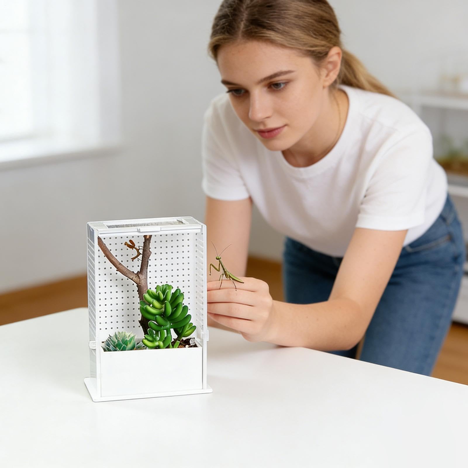 Gabbia Mantide Religiosa 20 Cm - Habitat Acrilico - Box Trasparente Rettili Per Nidificazione Allevamento Alimentazione Osservazione - Piccoli Insetti Animali Da Compagnia Hobbistica