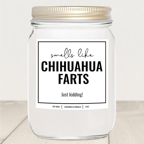 Miniatura 5 de YouNique Designs Smells Like Chihuahua Farts - Vela de soja de 8 onzas, regalo para propietarios de chihuahua, regalos de chihuahua para mujeres y