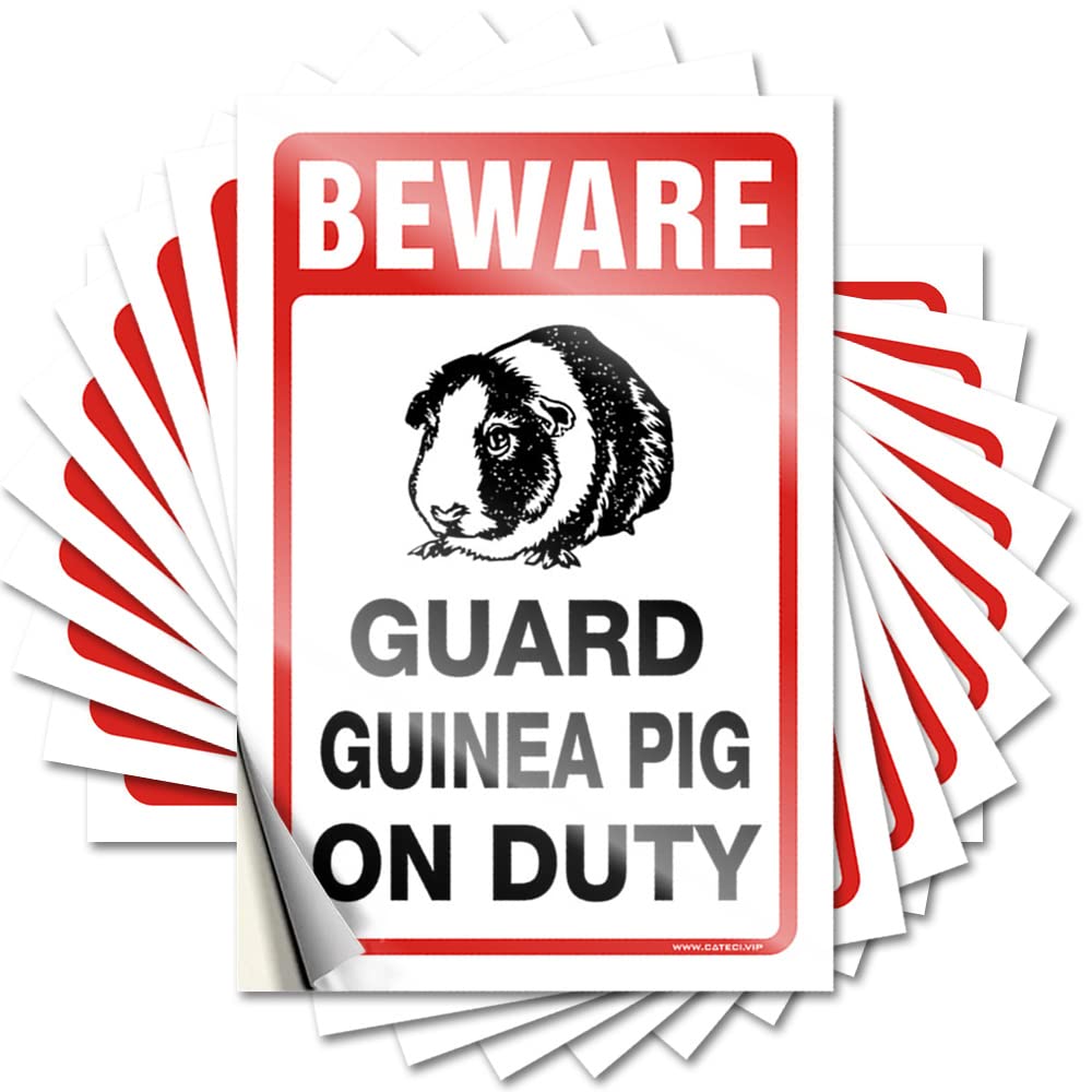 JNBT Mental Health Awareness Sticker For Motivational Student - Bumper Outdoor Vinyl Peel & Stick Beware! Guard Guinea Pig On Duty | Car Decals Stickers Outside Of