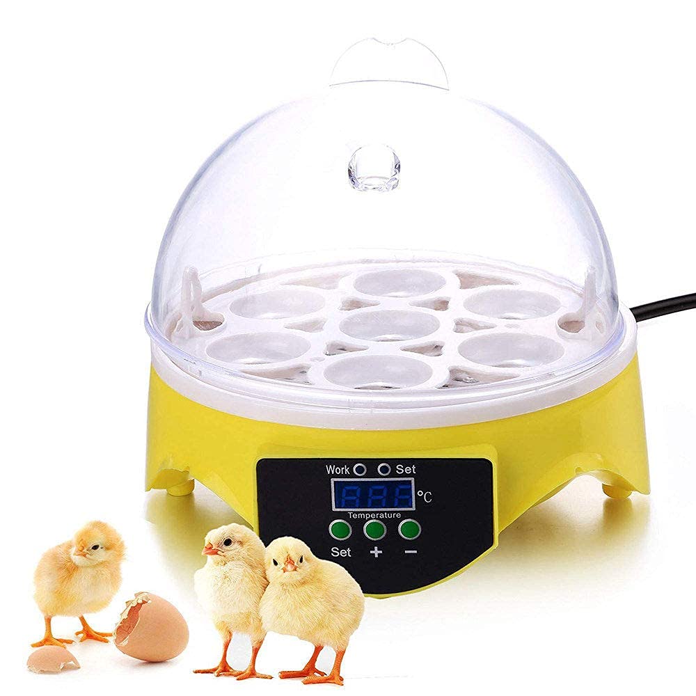 Buy FSJD Mini Egg Incubator with Automatic Egg Turning & Humidity