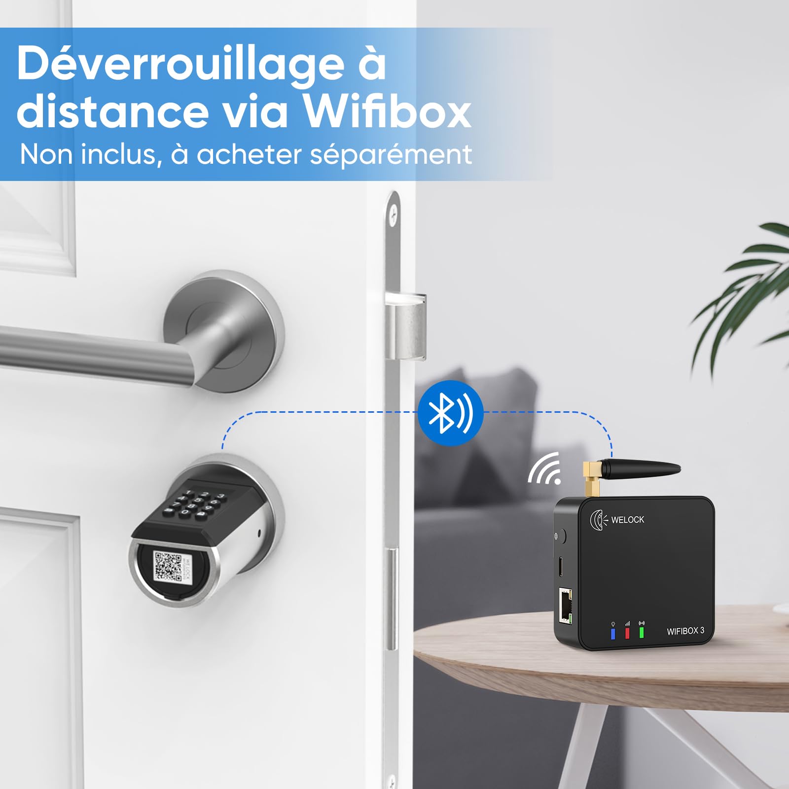 RUILON Serrure connectee porte entree PCB41 - IP65 Cylinder à code 40x30 | Serrure electronique avec 3 Cartes RFID, Installation facile, APP Commande, portes 50-100 mm, Code temporaire personnalisable