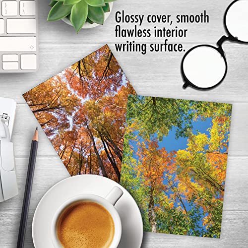 Image of The Best Card Company - 10 Beautiful Note Cards Blank (4 x 5.12 Inch) - Fall and Autumn Season, Boxed Notecard Assortment - Over the Top M2006