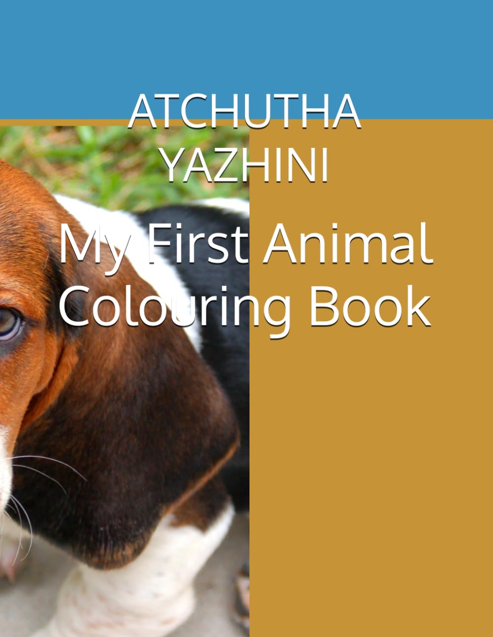 My First Animal Colouring Book