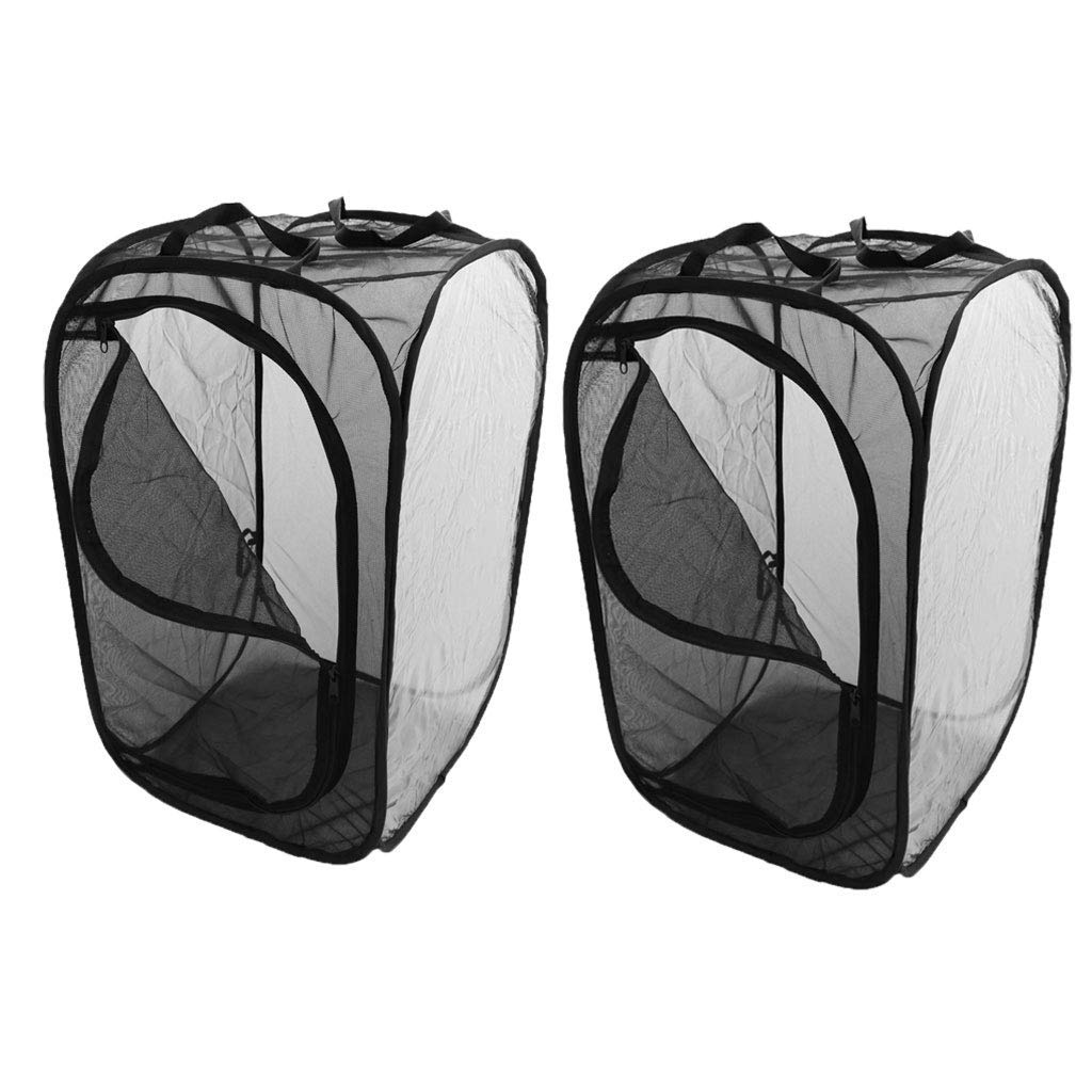 Cage à insectes filet élevage papillon chenille pliable et transportable x2