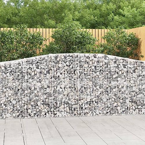 CKioict Macetero grande exterior jardineras de balcón con arco alto, 25 unidades, 400 x 50 x 100/120 cm, hierro galvanizado, para flores, frutas, verduras