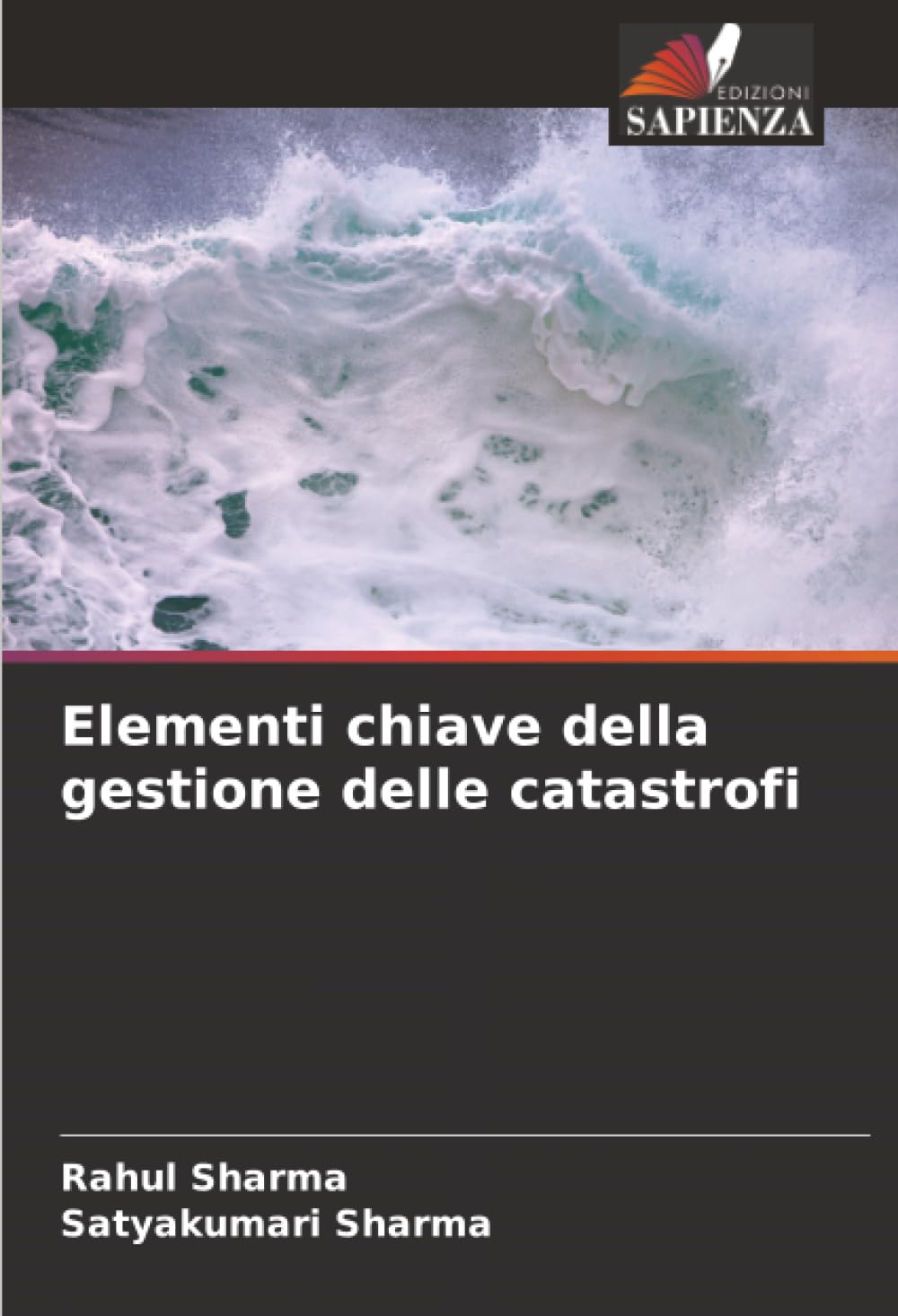 Elementi chiave della gestione delle catastrofi