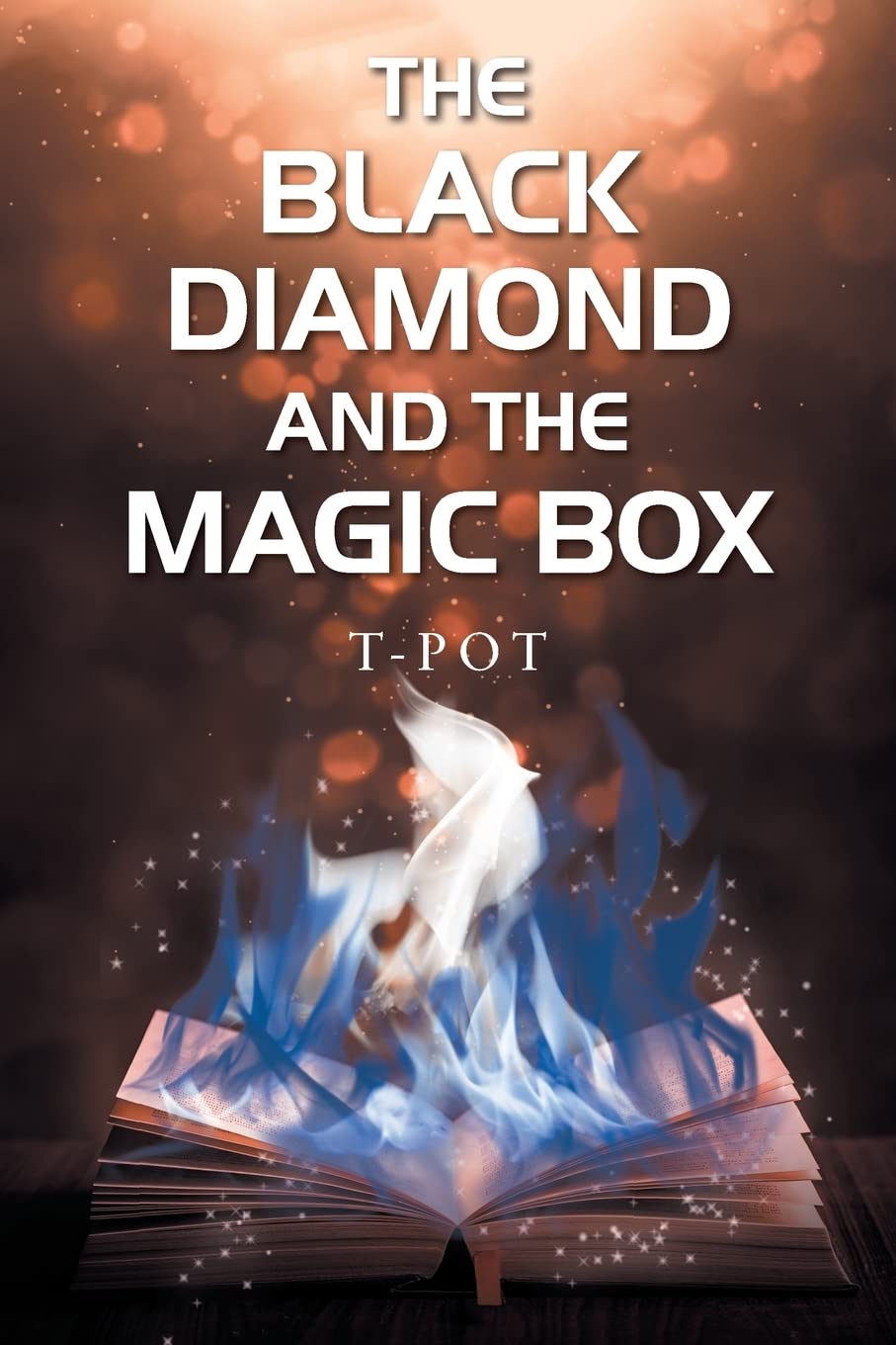 The Black Diamond and the Magic Box
