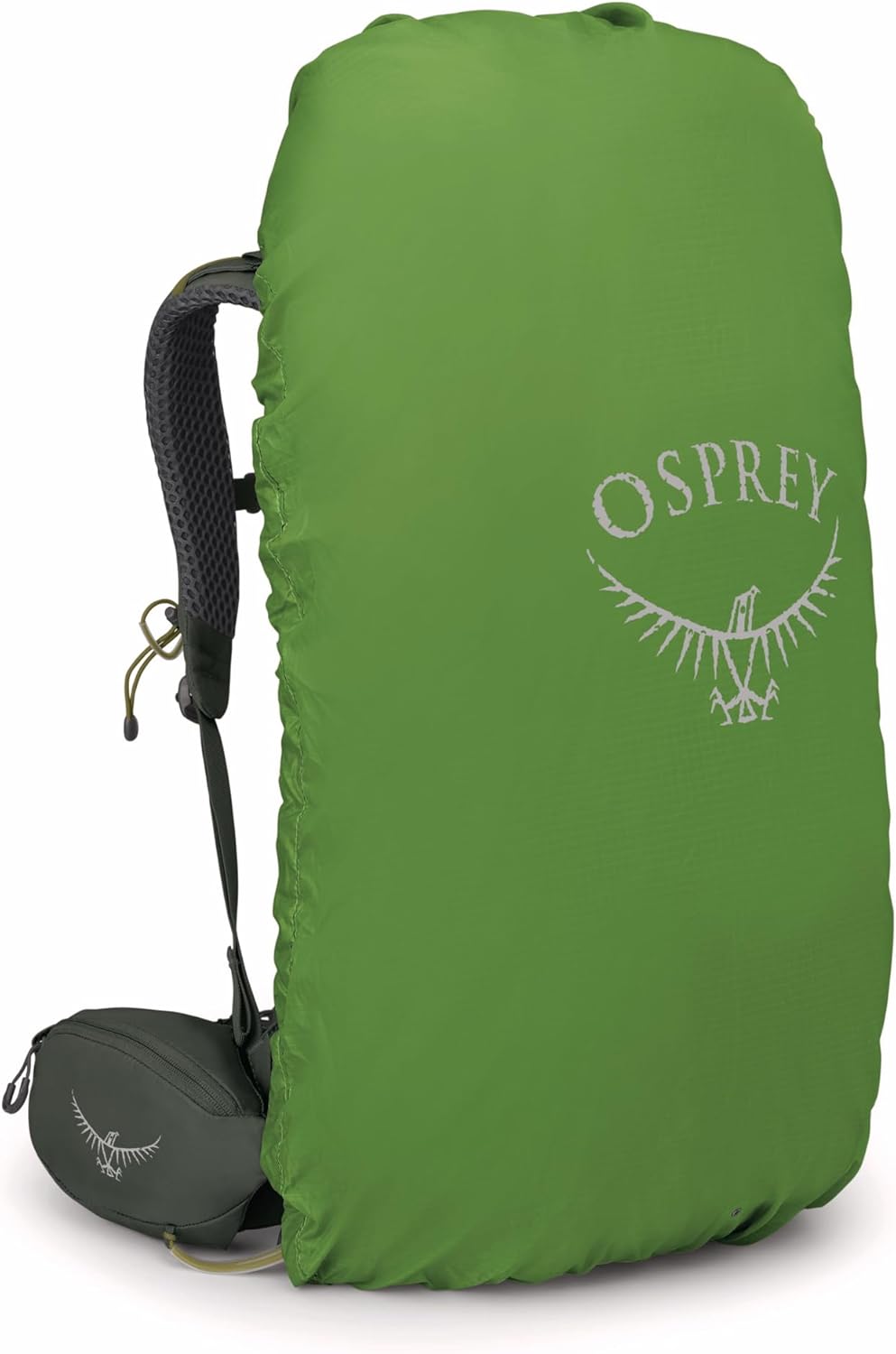 Osprey Kestrel 38L Men's Backpacking Backpack, Bonsai Green, L/XL