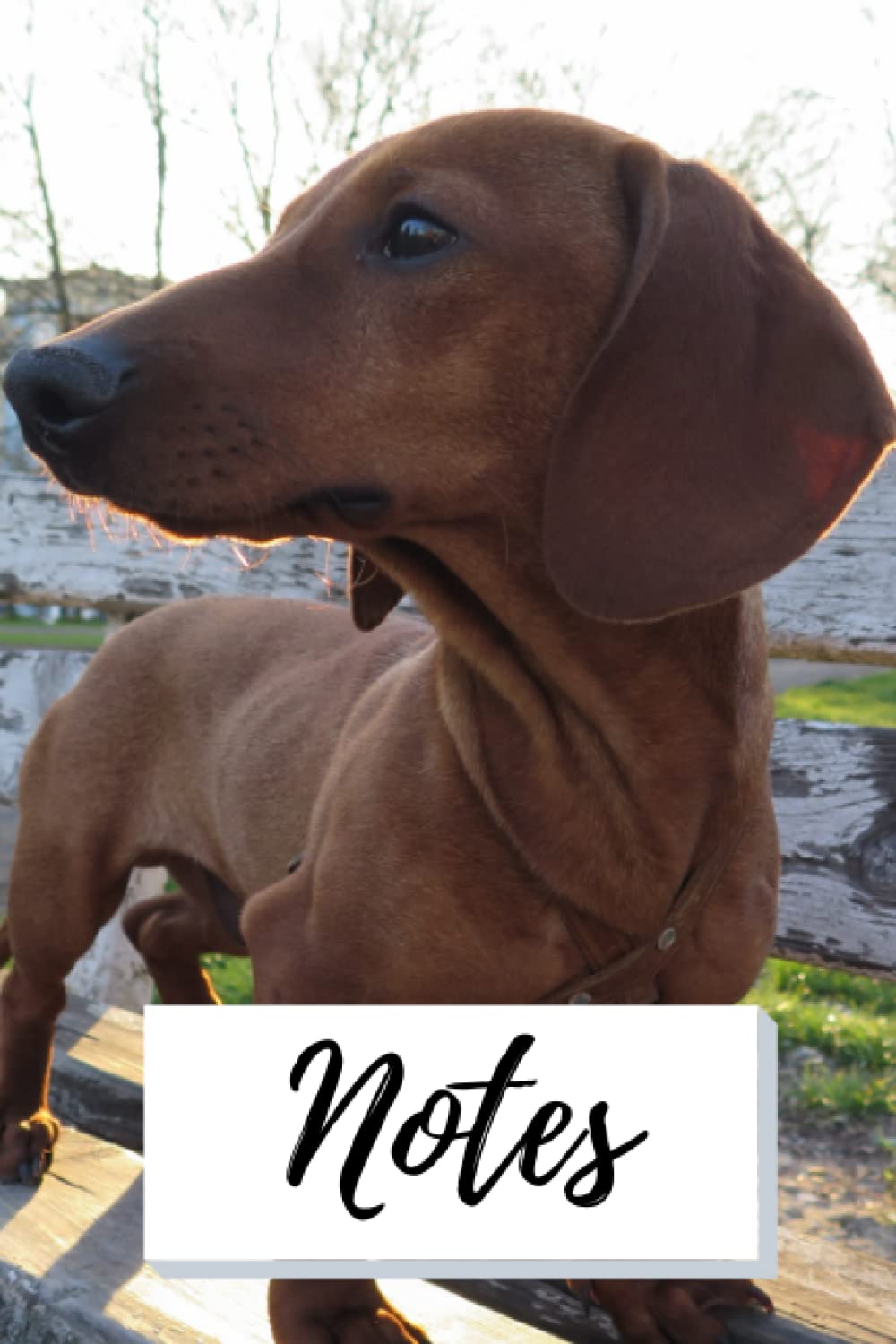 Brown Tan Dachshund Notebook (Perfect gift for sausage dog lovers!) 120 Pages Lined 6x9 design