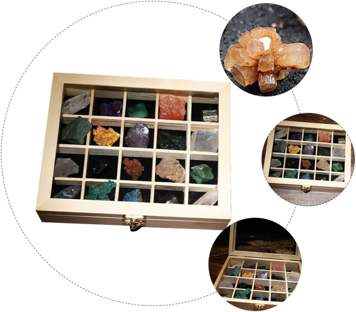 SAFIGLE 20pcs Minerals Crystals Natural Ore Stones Sample Box Rocks and Crystals