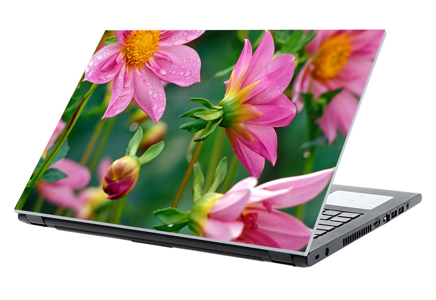 Namaste Home 17.5 inch Laptop Skin - Football Player - Laptop Skin - Laptop Sticker - HD Quality. (B08T6D4KLN) Amazon Price History, Amazon Price Tracker
