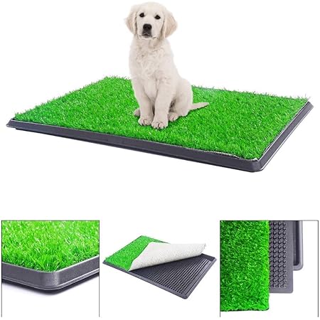 dog bathroom mat