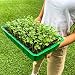 KliKil Invernadero Semillero Germinador Kit de 3 Unidades 72 Compartimentos para Semillas...