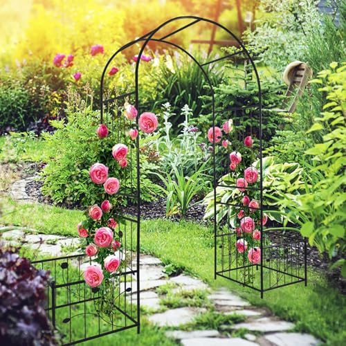 Arche de jardin pour rosiers et vignes avec treillis d'extérieur