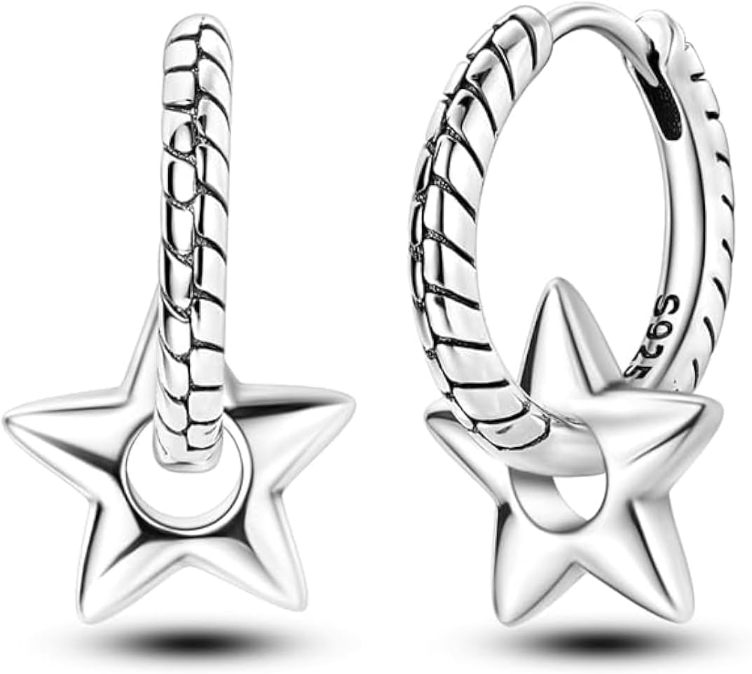 S925 Sterling Silver Earrings for Women Hypoallergenic Hoop Dangle Drop Huggie Earrings