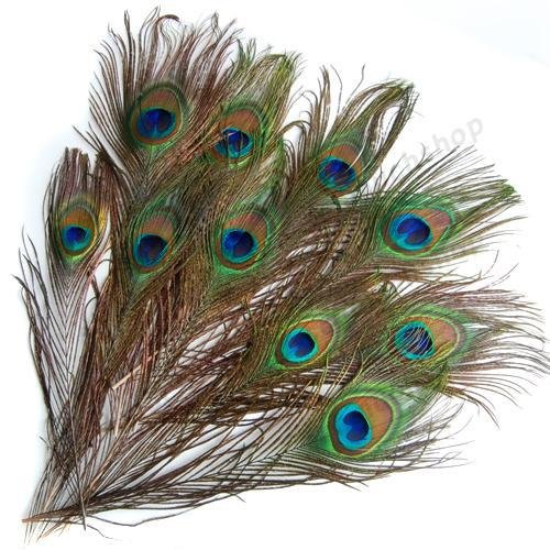Femitu Pack of 30pc Natural Peacock Feathers 10-12'' (50pcs)