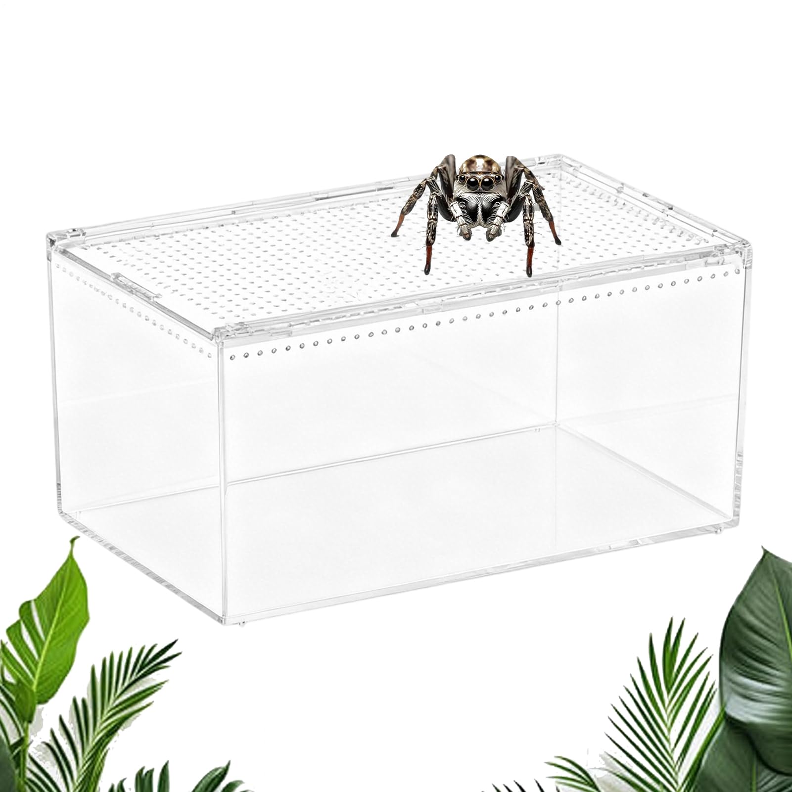 Terrarium Dla Gadów Wentylowane Przezroczyste Akrylowe Zabezpieczone Przed | Terrarium Dla Modliszek Klatka Do Hodowli Jaszczurek Do Wnętrz Na Biurko W Domu I Biurze Dla Płazów Jaszczurek