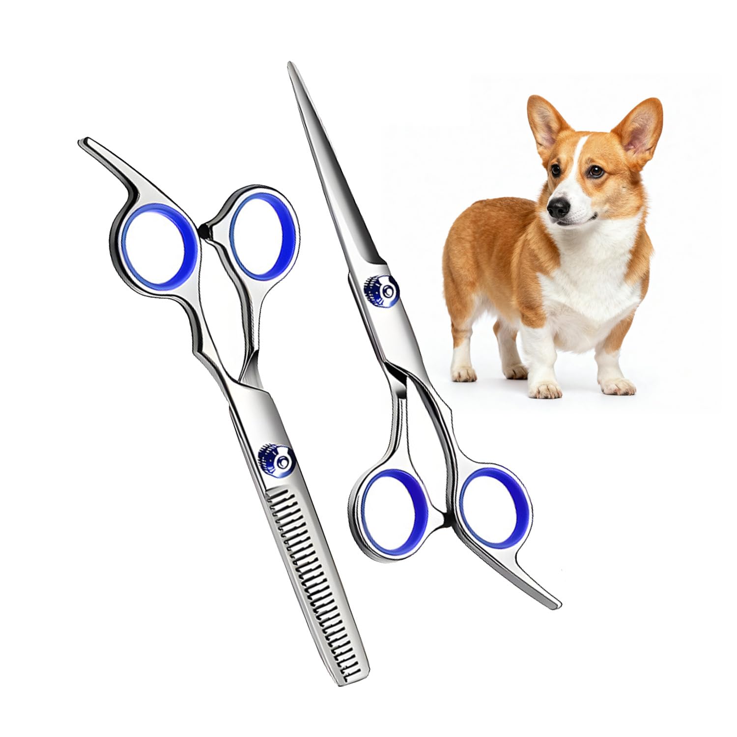 Dog Grooming Scissors, 2 PCs Pet Grooming Scissors Stainless Steel Shears for Dogs and Cats Stainless Steel Pet Grooming Kit with Cutting Scissor, Thinning Shear for Pets Home Salon Barber