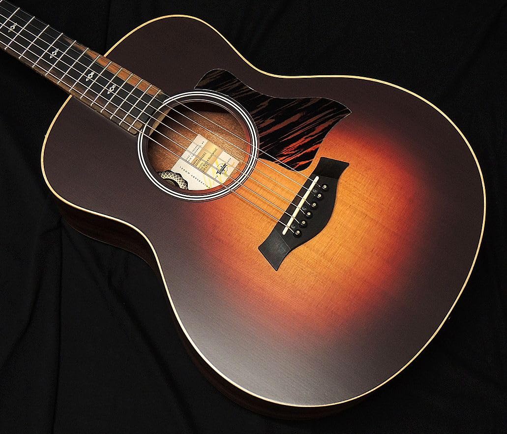 GS Mini-e Rosewood [エレアコ］ Amazon | Taylor GS Mini-e Rosewood SB LTD テイラー グランド