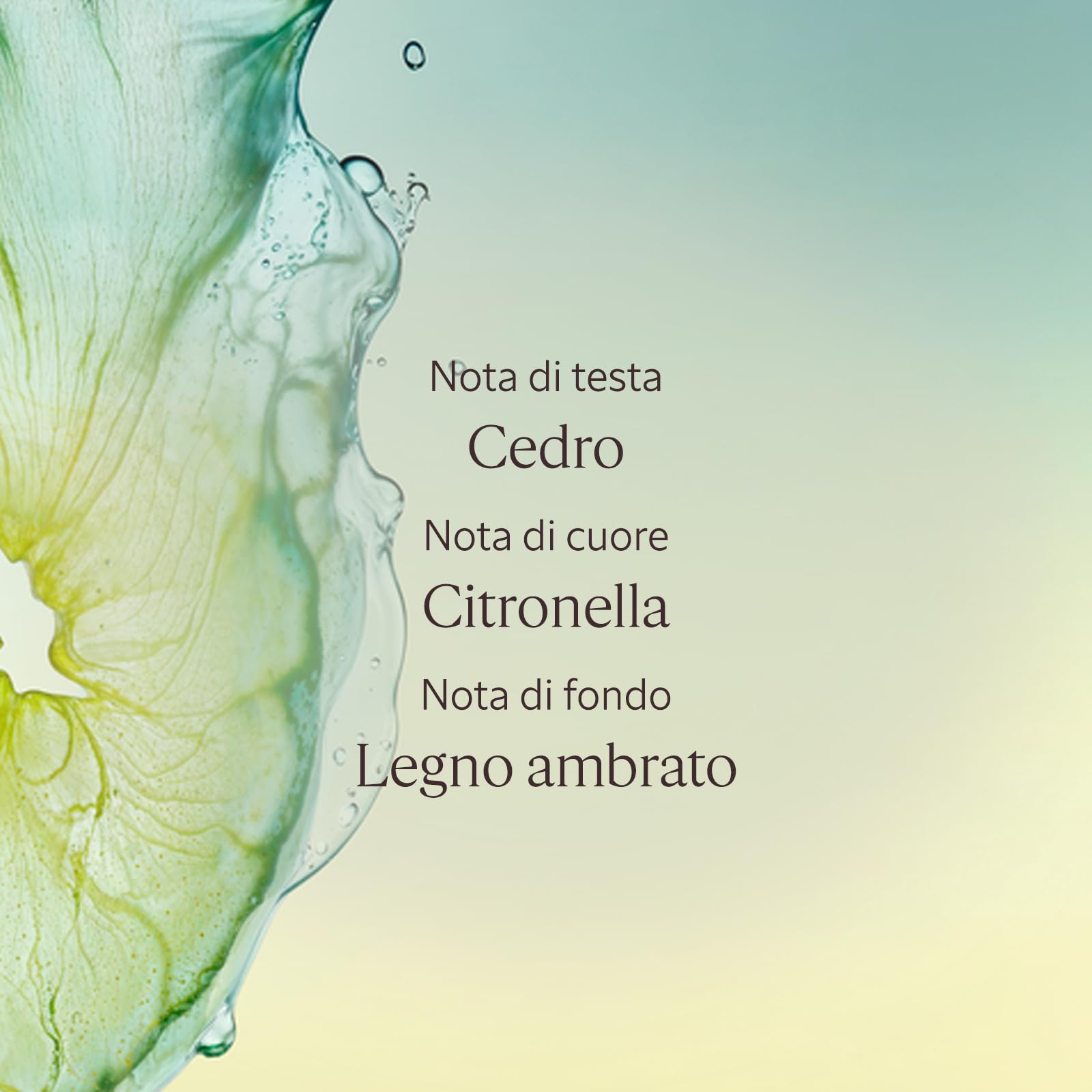 L'OCCITANE - Gel Crema Dopo Barba Cédrat - 75 ml - Idrata e riduce le irritazioni - Prodotto in Francia