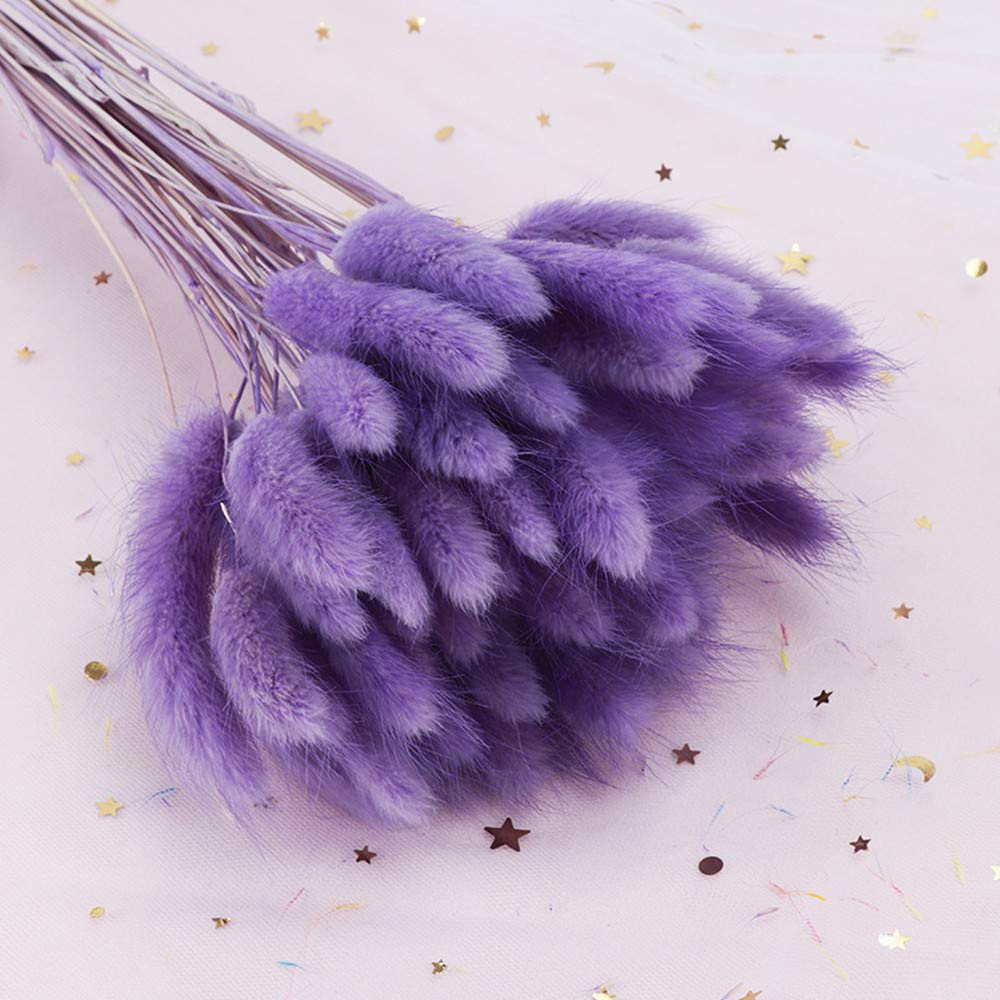 120 Pcs Dried Rabbit Tail Grass Dried Grasses Natural Dry Grass Dried Flowers Real Flower Eternal Flower for Home Decoration and Photo Props Wedding Decor (Purple)-image-24