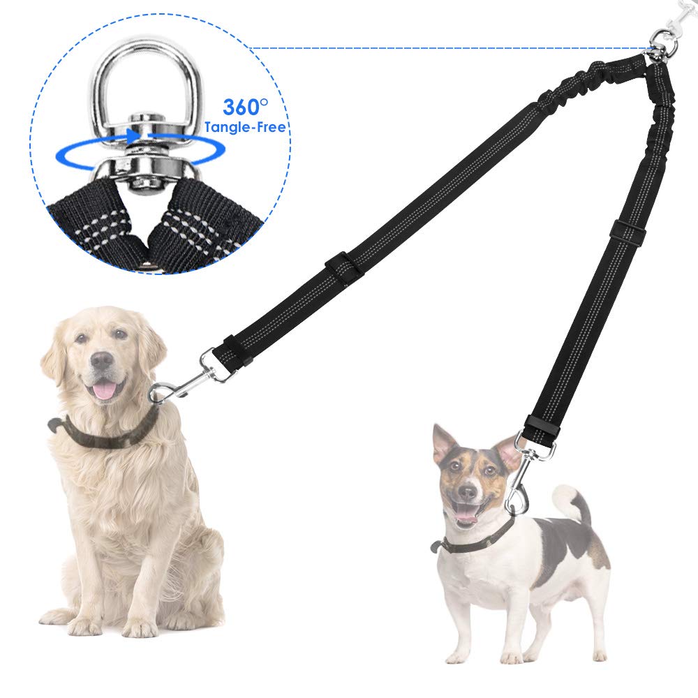 tandem leash for dogs