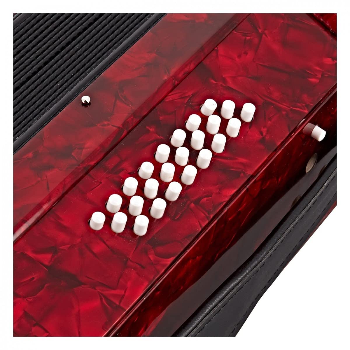Gear4music Fisarmonica a Piano Professionale con Custodia per Adulti Principianti