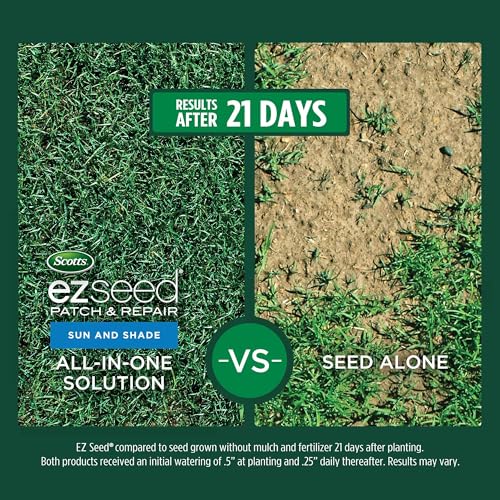 Grass Seed Blends For Erosion Control On Slopes