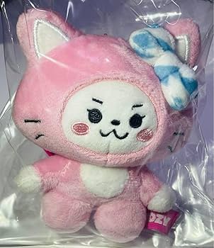 K-POPアイドル ぬいぐるみ・マスコットセット K-POPアイドル ぬいぐるみ 中サイズ - メルカリ