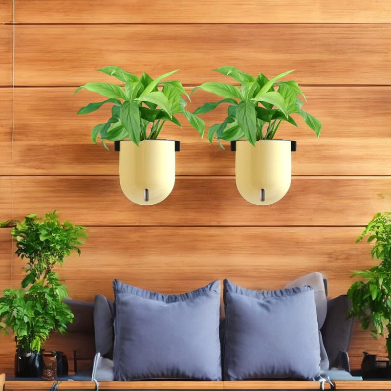 Image of Indian Discovery Self Watering Wall Hanging Planter|Hanging /Hooked Flower Pots for Home, Balcony, Terrace, Garden Decor Flower Pots(1 Pcs, Ivory, Sphere)|6 Inch UV-Resistant Plastic Plant Pots