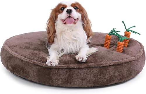 KSIIA Calming Donut Dog Bed with Carrot Toys, Washable, 20 Inch, Brown | 3 Carrot Rope Toys, Machine Washable, Soft Plush, Anti-slip, for Dogs and Cats