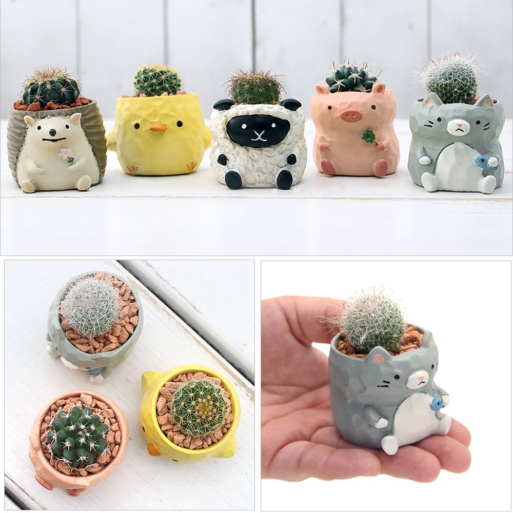 Amazon｜（観葉植物）おまかせプチサボテン リトルアニマル 鉢おまかせ