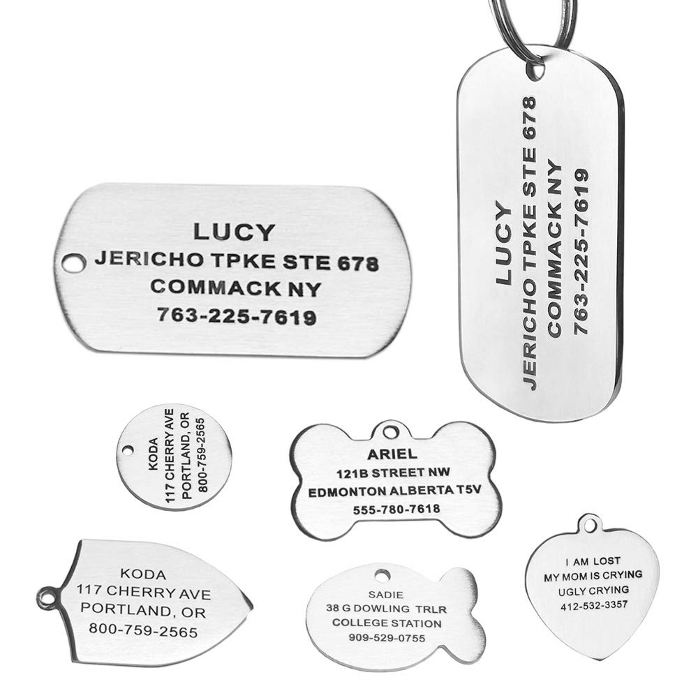 Stainless Steel Pet ID Tags, Engraved Personalized Dog Tags and Cat Tags, Tags Front & Back up to 8 Lines of Custom Text, in Bone, Round, Heart, Fish, Ranger Badge, Rectangle… (Rectangle, Large)