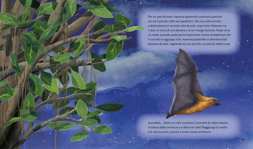 I segreti della notte. Storie della buonanotte per scoprire la natura. Ediz. a colori
