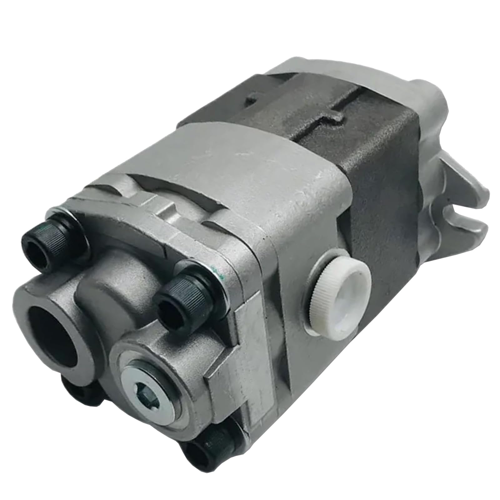 Amazon.com: Seapple RD819-77474 RD81977474 Hydraulic Gear