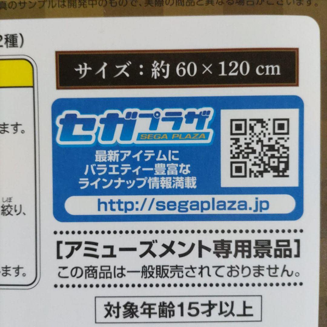 Amazon.co.jp: 鬼 滅 プレミアムバスタオル Vol.5 時透無一郎